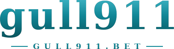 gull911 logo